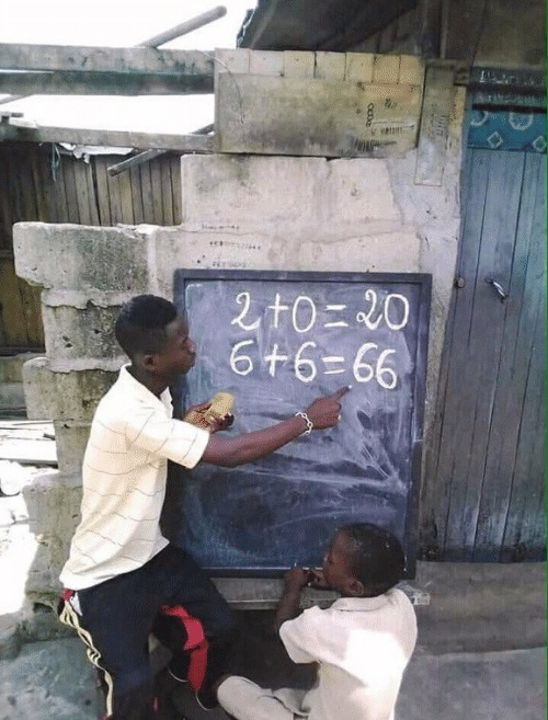 15267408.jpg