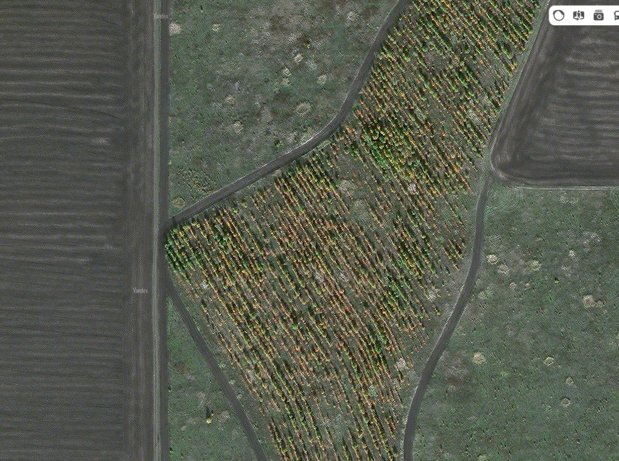 1719495707376.png