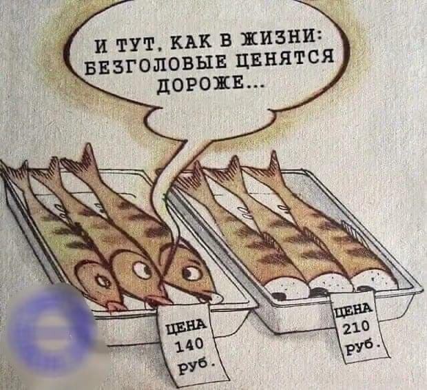 1774432671534.jpeg
