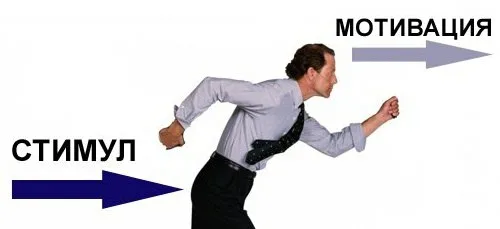 1784562177088.png