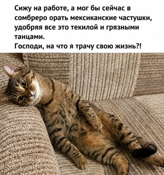 1785535567338.png