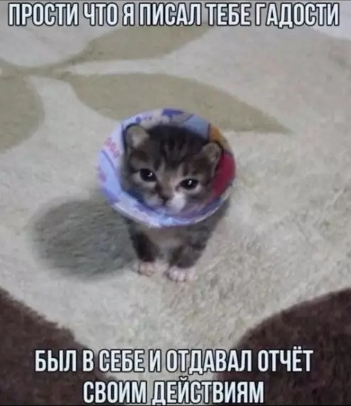 20843851.jpg