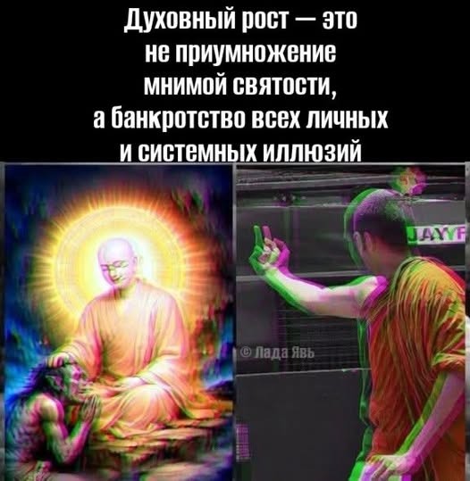 21107761.jpg