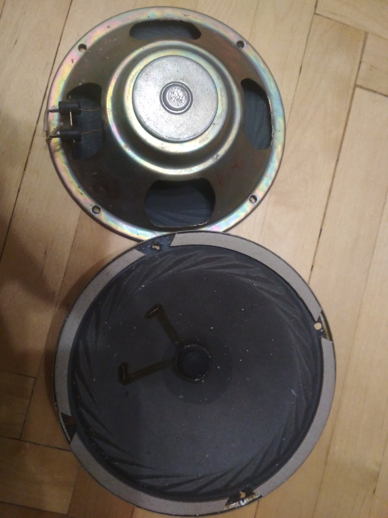 2780.jpg