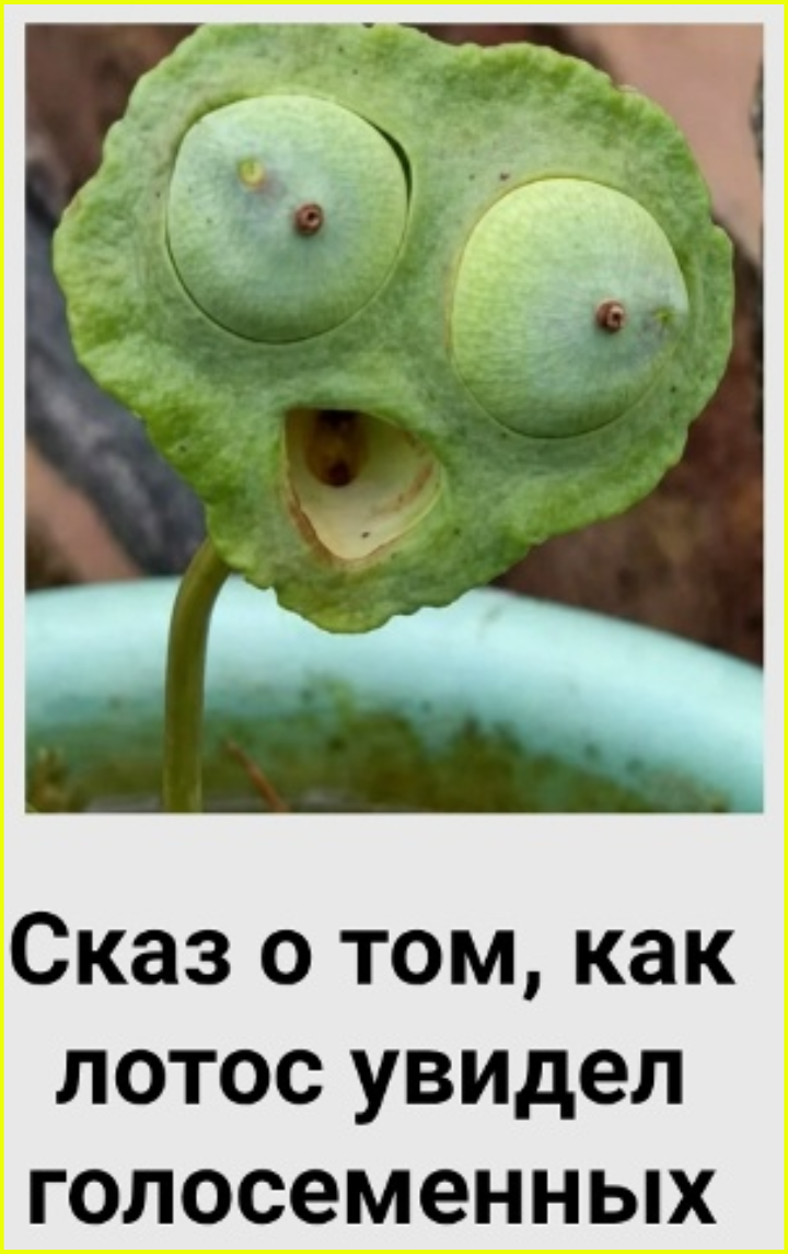 468cd5550a9c4096a44609c15559747e.png