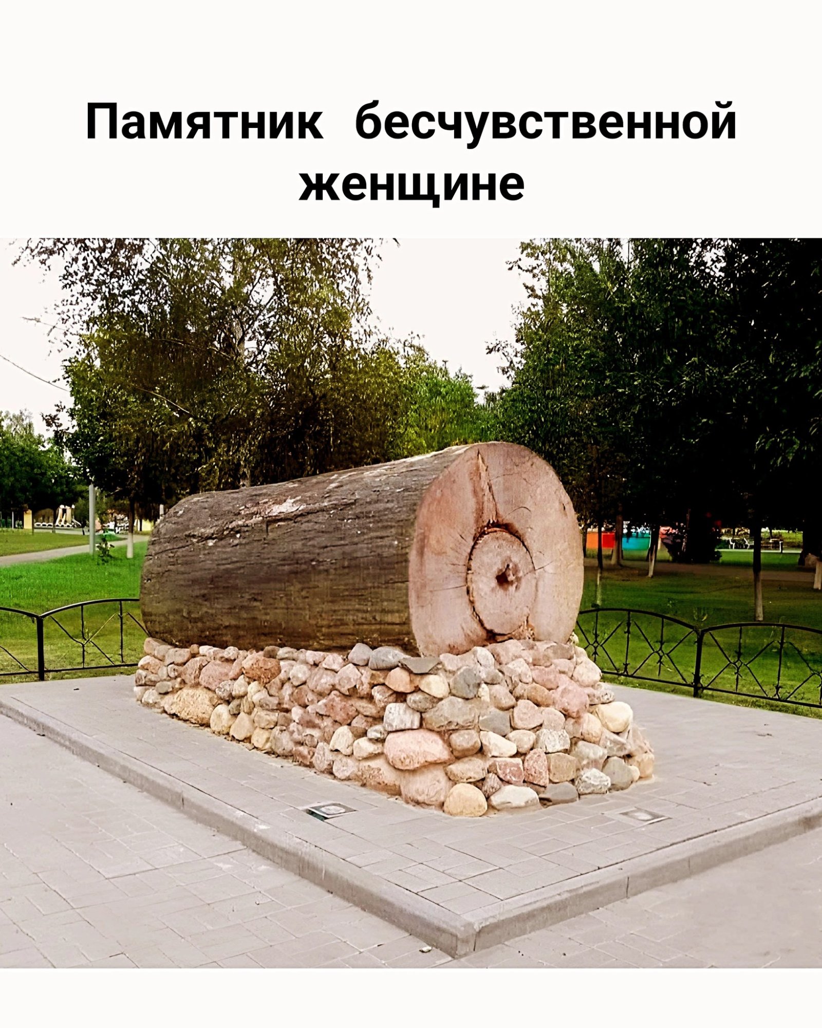 548212431_122213141348563621_3133442252640591957_n.jpg
