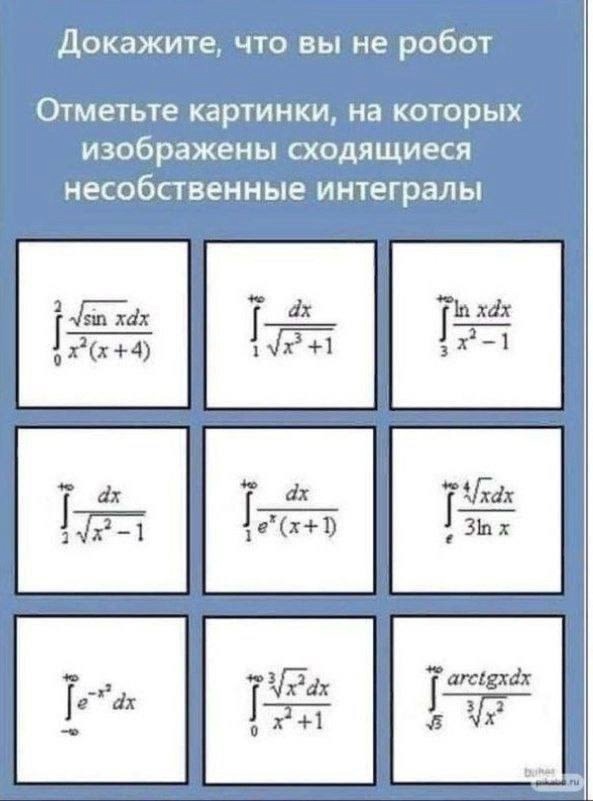 8962196_original.jpg