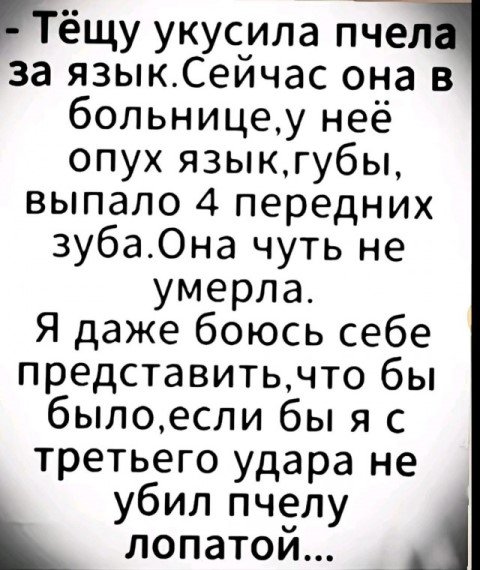 a883de72c2_20986746 (1).jpg
