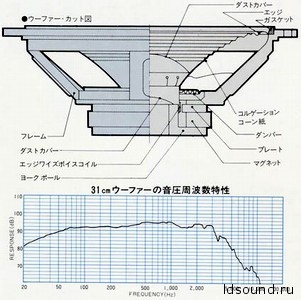 coral_x8-ldsound.ru-12.jpg