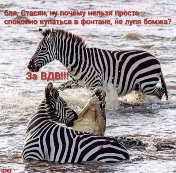 d2cbivusmbqg7fdg0meg.jpg