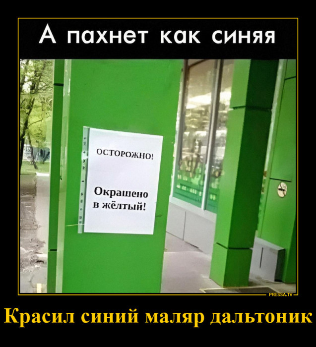 d7o3kkusmbqm8mm3j5cg.jpg