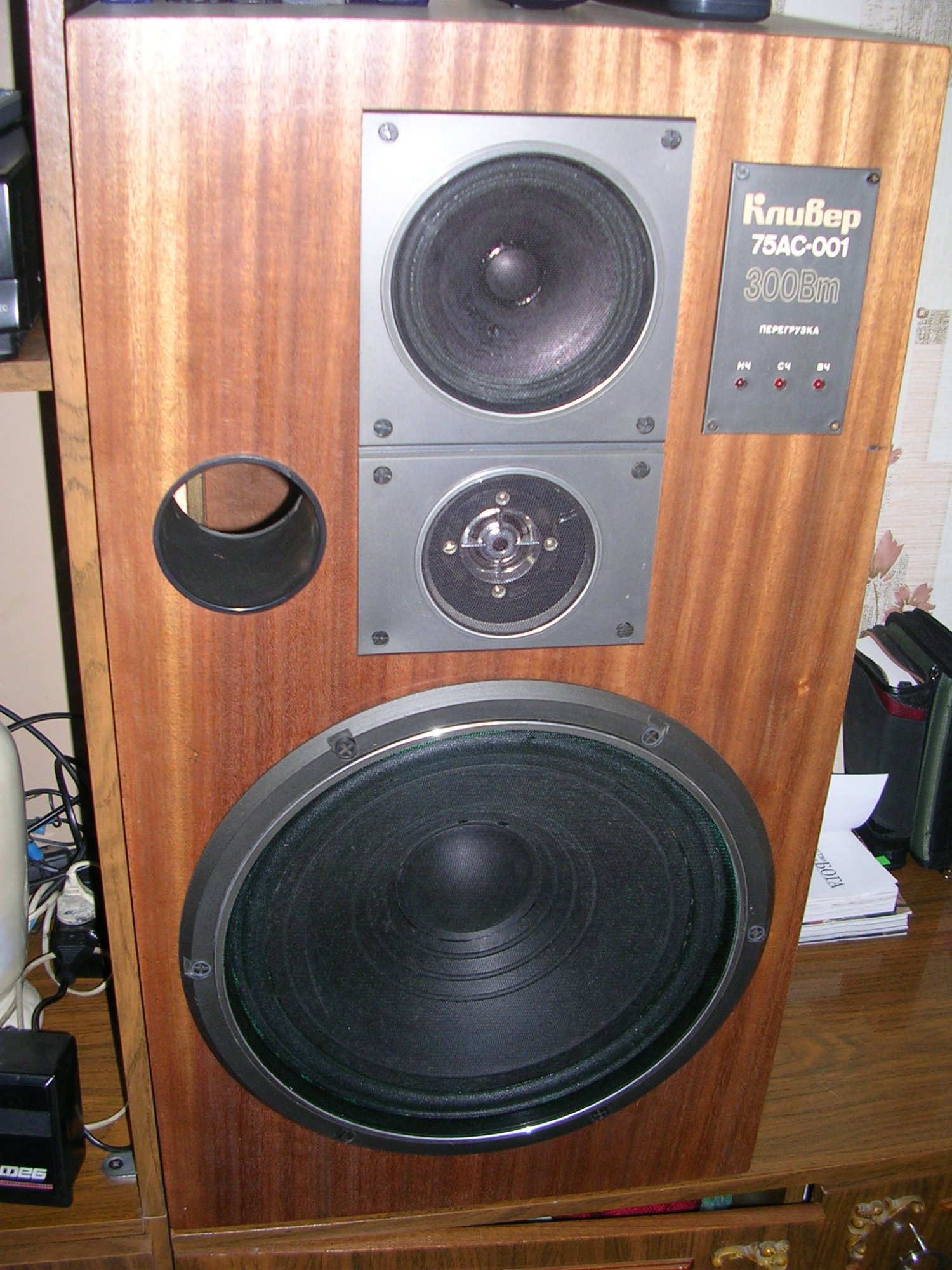 DSCN0010.JPG