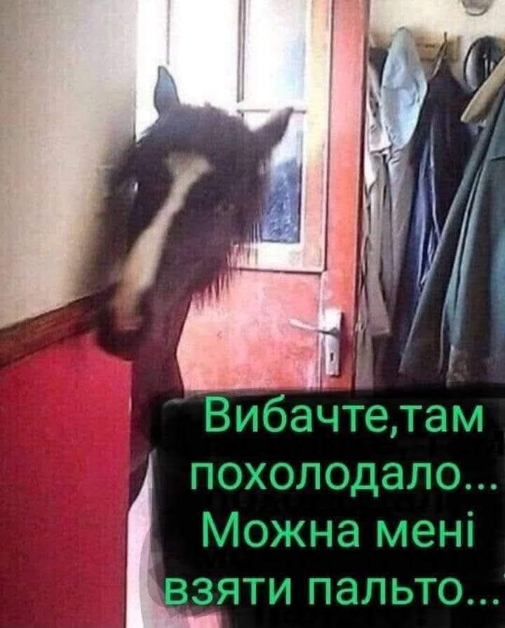 FB_IMG_1758878497677.jpg