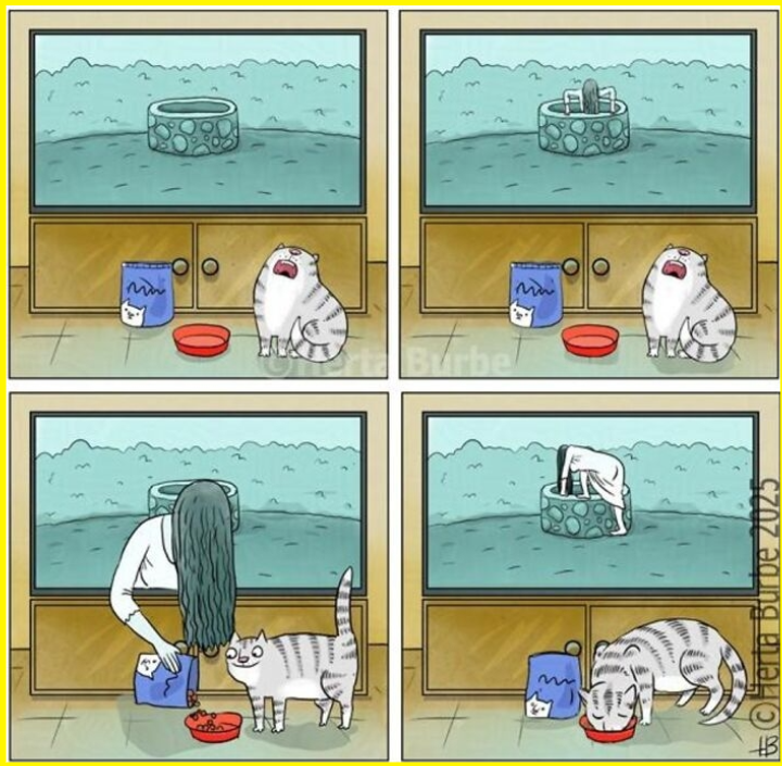 image (340).png
