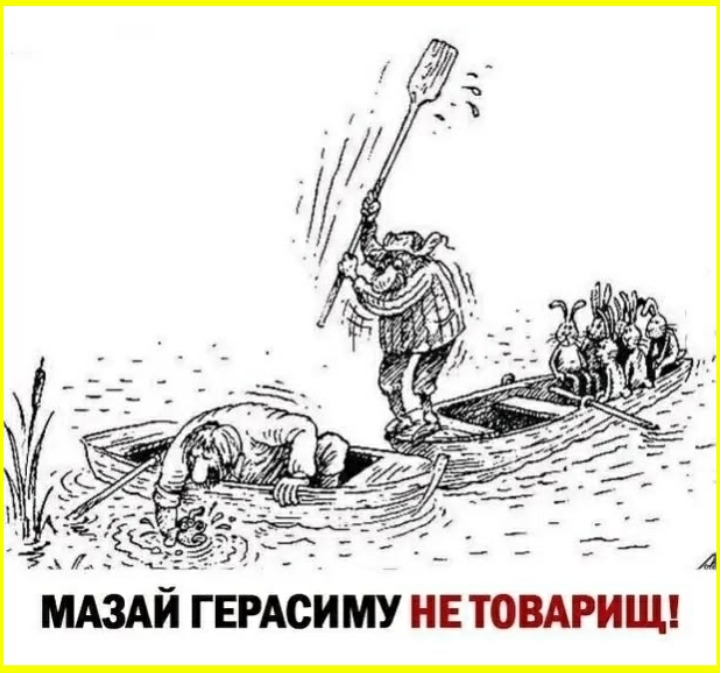 image (3495).png