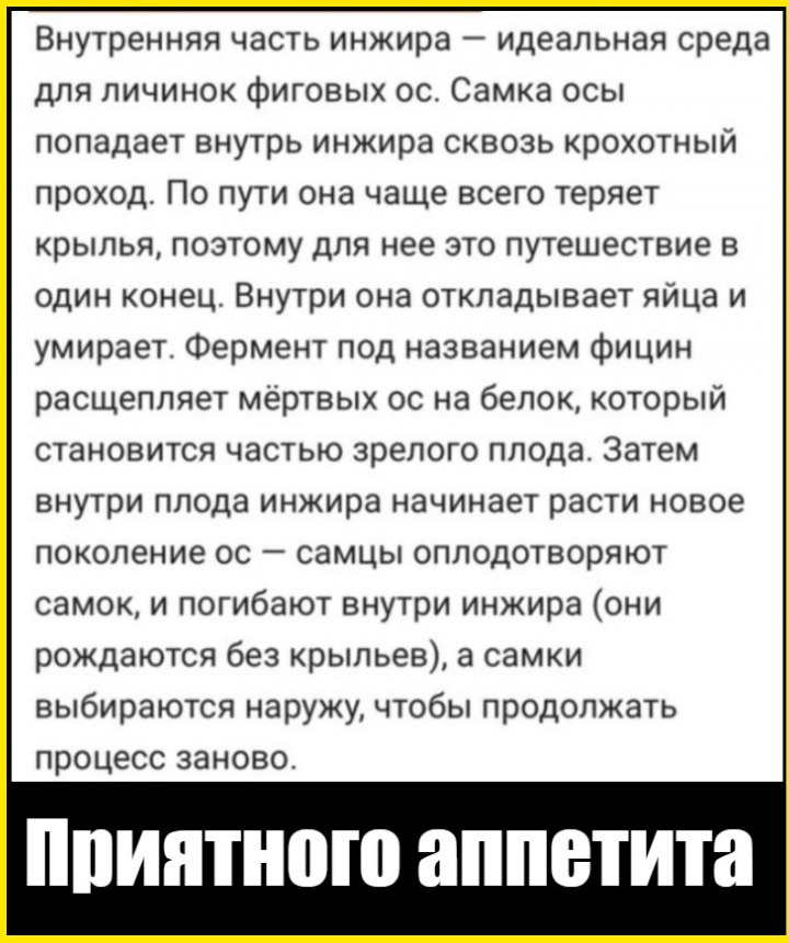 image (4715).png