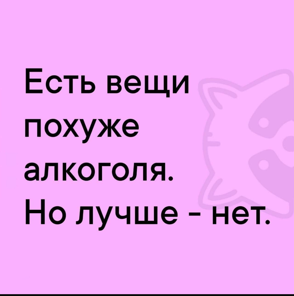 IMG_6582.jpeg