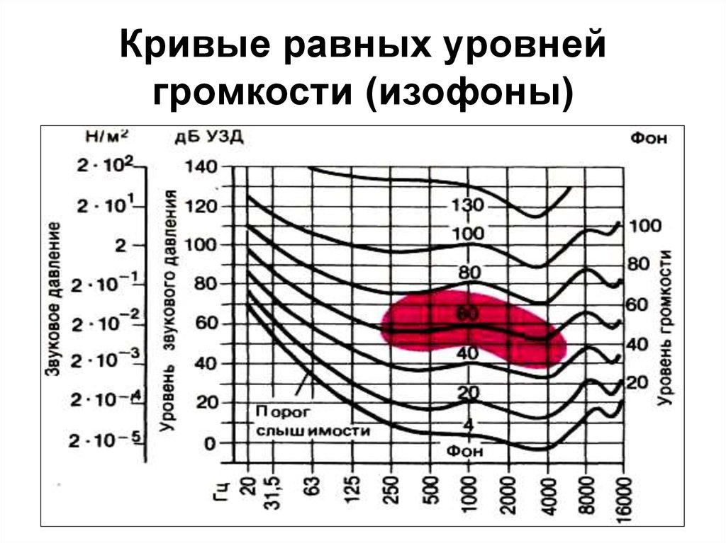 Кривые равной громкости.jpg