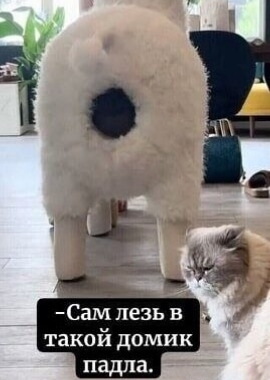 rejsifb5.jpg