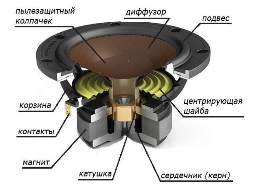 Устройство динамика.jpg