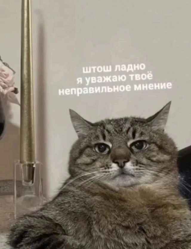 Я уважаю твоё неправильное мнение.jpg