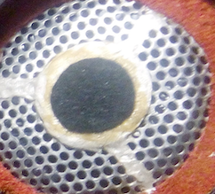 Знімок екрана 2025-10-25 о 22.59.42.png