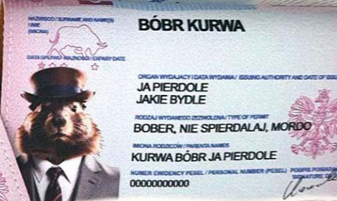 Знімок екрана 2026-04-12 о 16.05.43.png