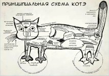 КОТЭ.jpeg
