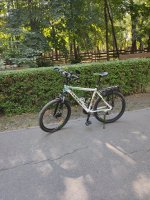 IMG_20240714_075357.jpg