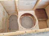 IMG_20240803_182039_063.jpg IMG_20240803_182039_063.jpg