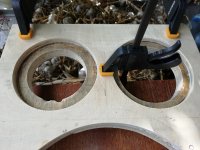 IMG_20240807_130614.jpg IMG_20240807_130614.jpg