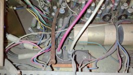 WhatsApp Image 2024-08-10 at 16.37.09.jpeg