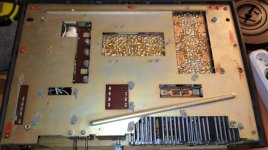 WhatsApp Image 2024-08-10 at 16.37.11.jpeg