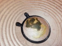 IMG_20240805_144246.jpg IMG_20240805_144246.jpg