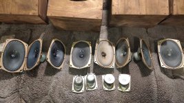 WhatsApp Image 2024-08-11 at 01.35.35.jpeg