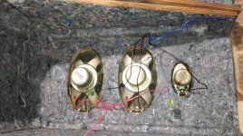 WhatsApp Image 2024-08-11 at 02.23.57.jpeg