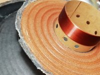 IMG_20240809_192340.jpg IMG_20240809_192340.jpg