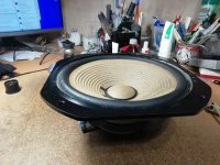 IMG_20240809_194324.jpg IMG_20240809_194324.jpg