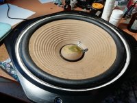 IMG_20240813_102249.jpg IMG_20240813_102249.jpg