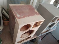 IMG_20240820_064919_082.jpg IMG_20240820_064919_082.jpg