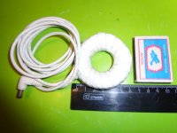 Мишин тороидальная катушка.JPG