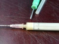 IMG_20240927_110144.jpg IMG_20240927_110144.jpg