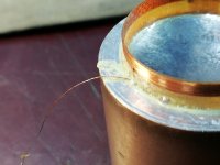 IMG_20240927_125627.jpg IMG_20240927_125627.jpg