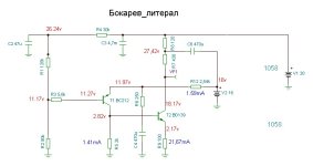 Бокарёв.JPG