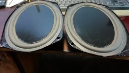 IMG_20241028_095603.jpg IMG_20241028_095603.jpg