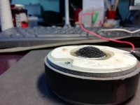 IMG_20241102_082335.jpg IMG_20241102_082335.jpg