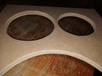 IMG_20241120_084109.jpg