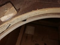 IMG_20241123_123207.jpg