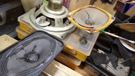 WhatsApp Image 2024-11-27 at 18.21.22.jpeg