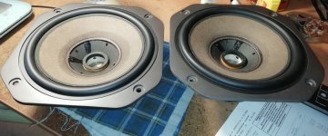 IMG_20241201_093513.jpg IMG_20241201_093513.jpg